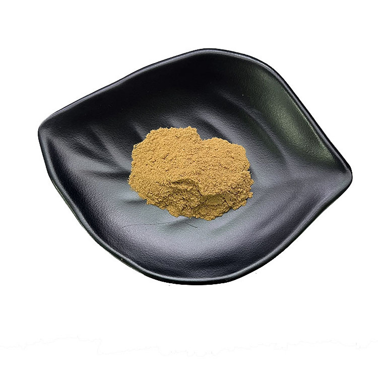 Supply Top Quality Natural Loquat leaf ursolic Acid 25% 77-52-1 Uosolic Acid Loquat leaf extract