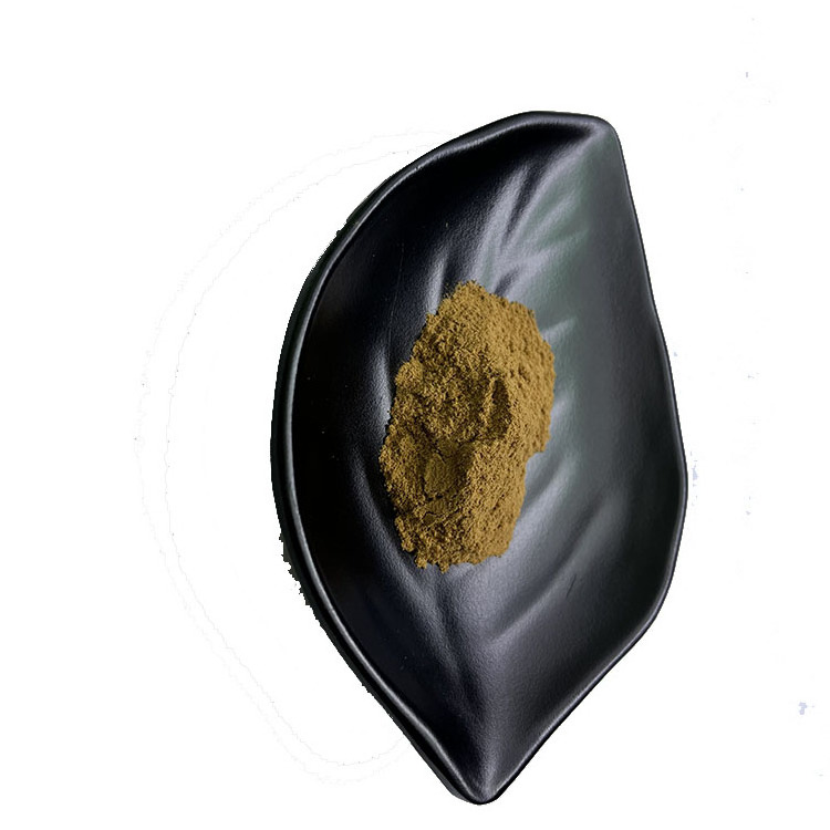 Supply Top Quality Natural Loquat leaf ursolic Acid 25% 77-52-1 Uosolic Acid Loquat leaf extract