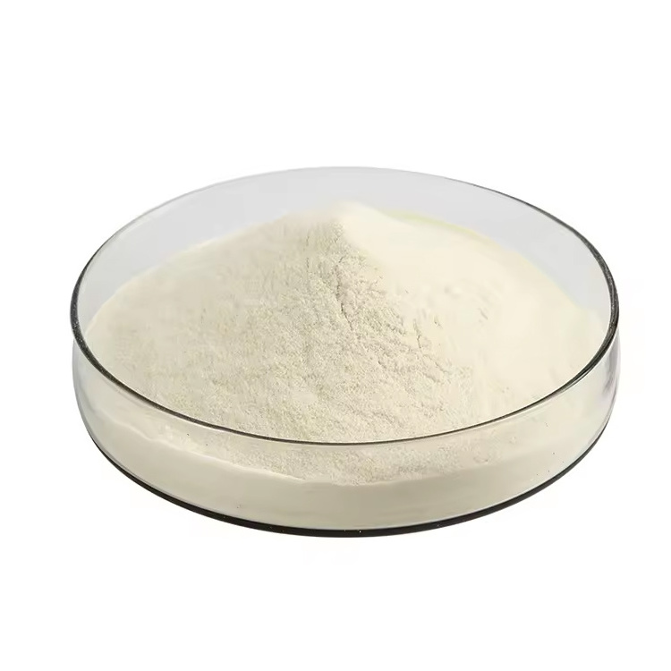 High Quality Fish Oil Powder Food Grade Omega-3 Supplement DHA Powder