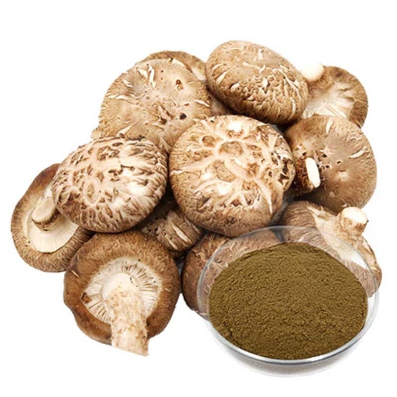 Natural Organic Private Label Shiitake Mushroom Supplement lentinan Bulk Ahcc powder Shiitake Mushroom Extract powder