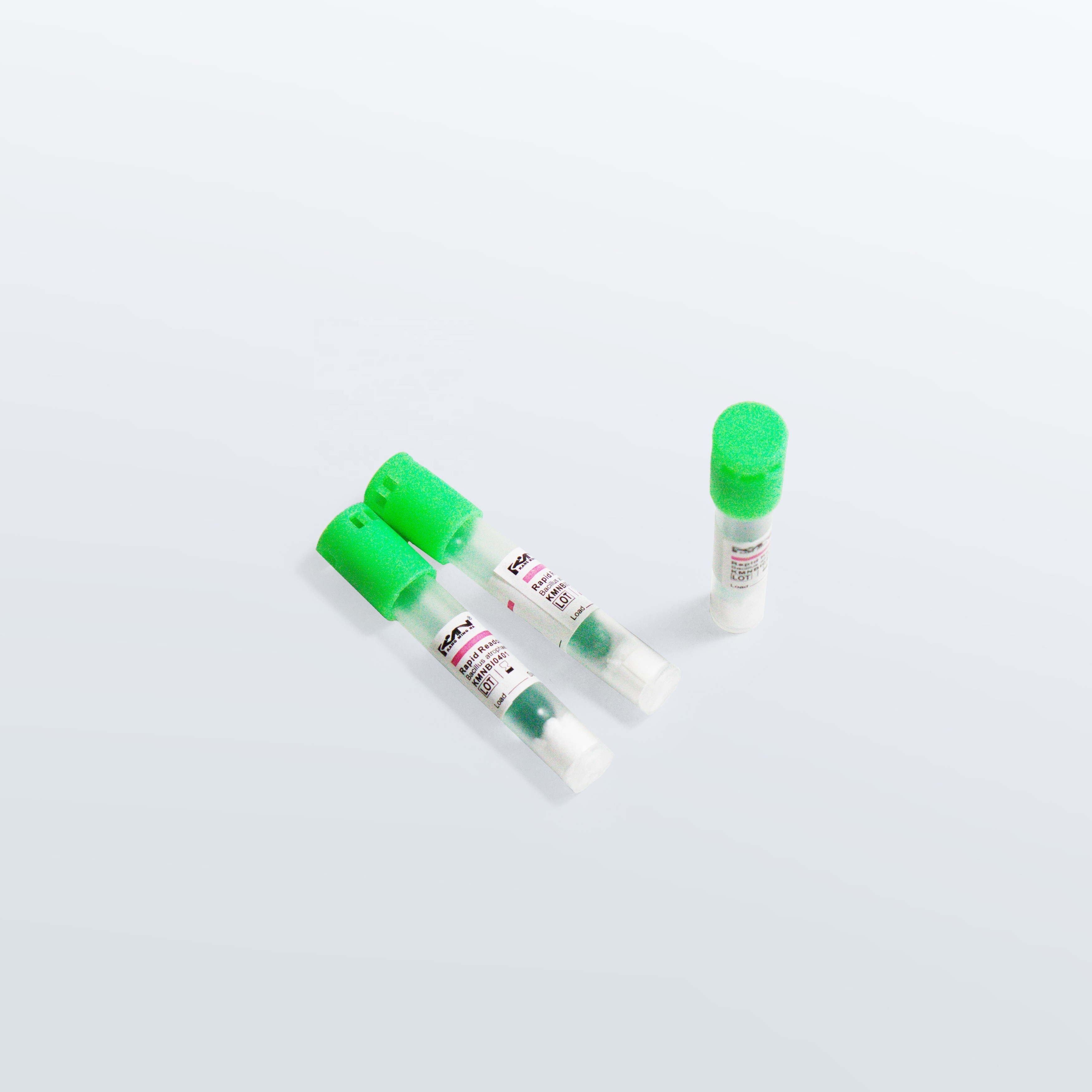 Medical Biological Indicator ETO Sterilization Biological Indicators with Hot Sale