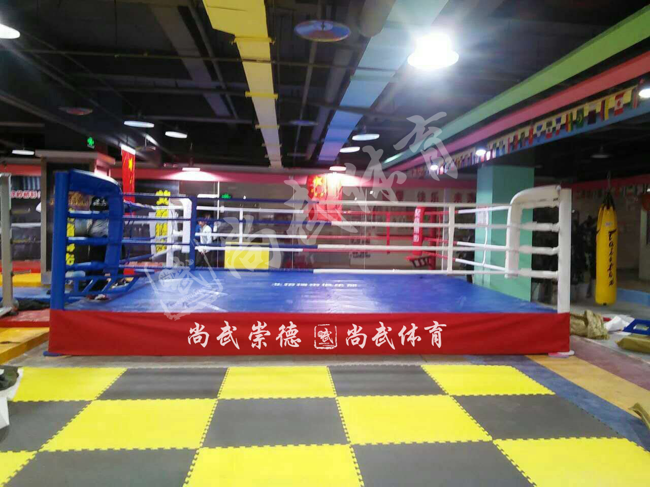 Hot sale boxing cage cheap price MMA ring  customized wholesale Boxing Ring  for gym for training sports