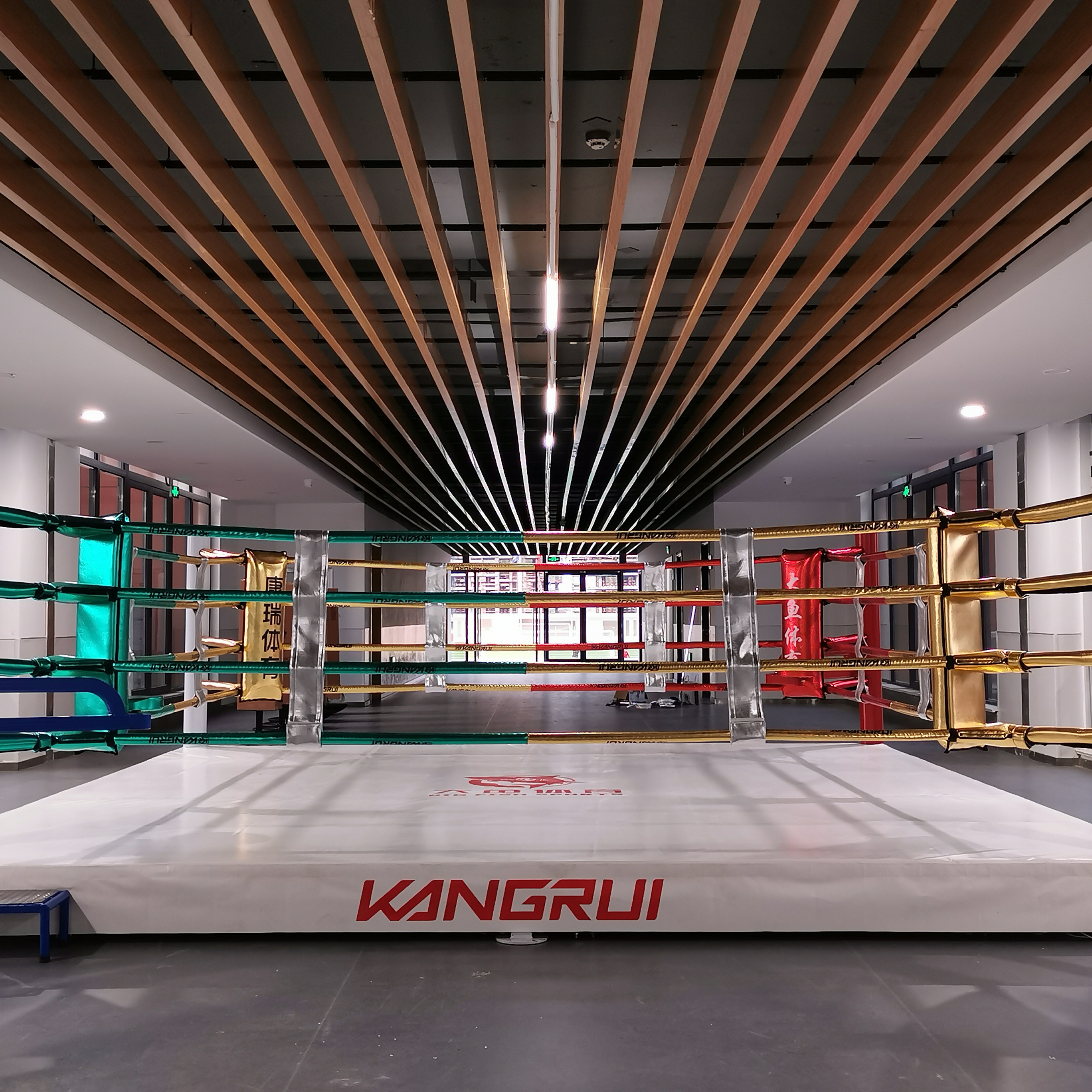 Hot sale boxing cage cheap price MMA ring  customized wholesale Boxing Ring  for gym for training sports