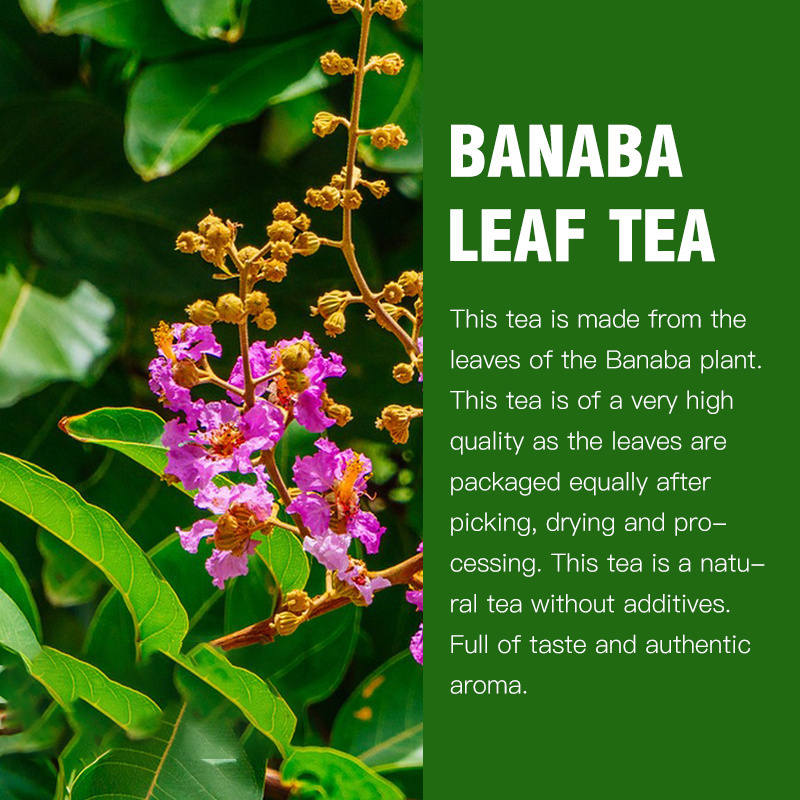 Private Label Dried Banaba Leaf herbal tea  bags Wholesale Dried Banaba Leaf Tea