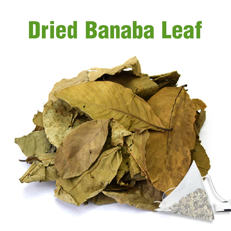 Private Label Dried Banaba Leaf herbal tea  bags Wholesale Dried Banaba Leaf Tea