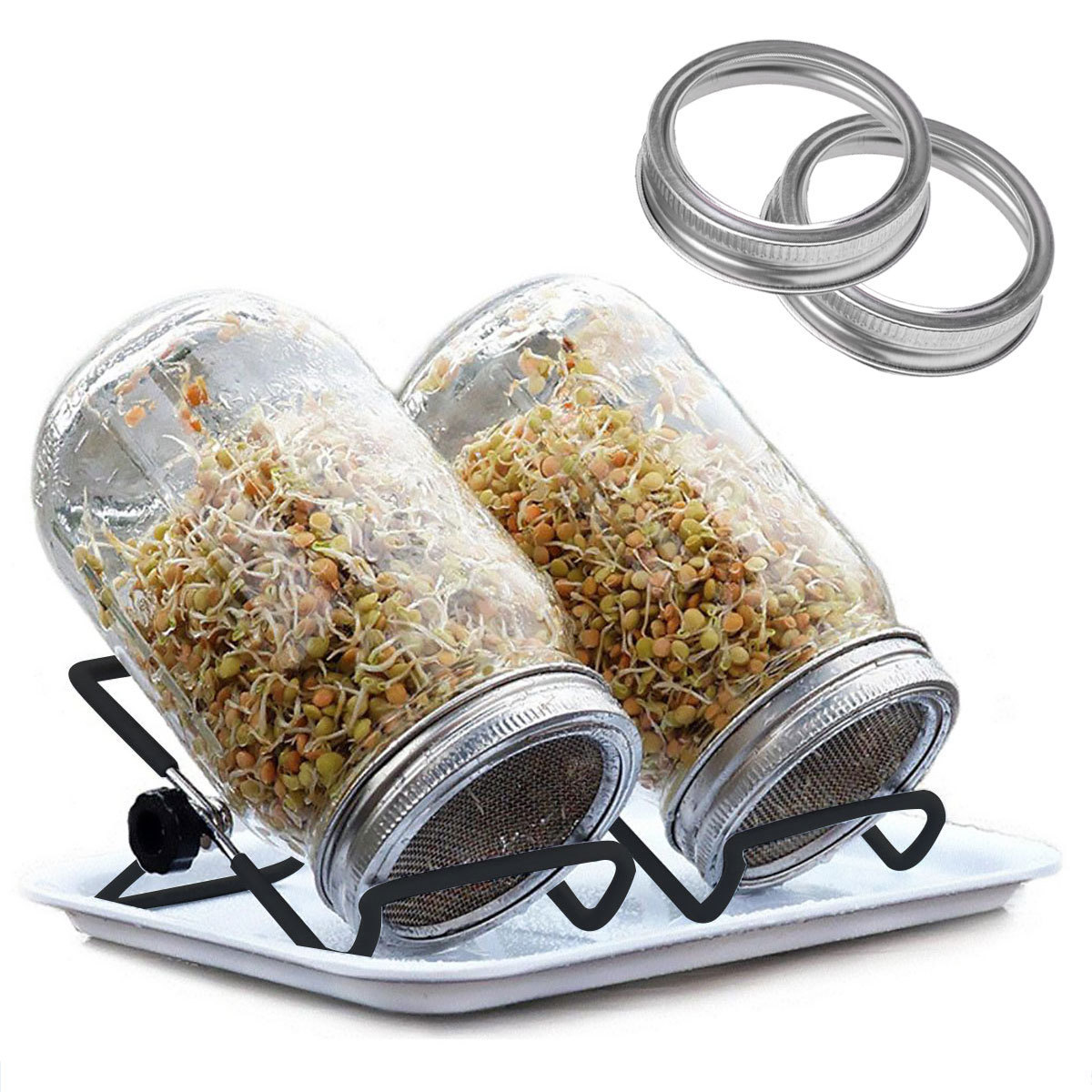 Stainless Steel Organic Seeds Sprouting Jar Mesh Screen Lid Kit For Wide Mouth Mason Jars Making Organic Bean Sprout Seeds