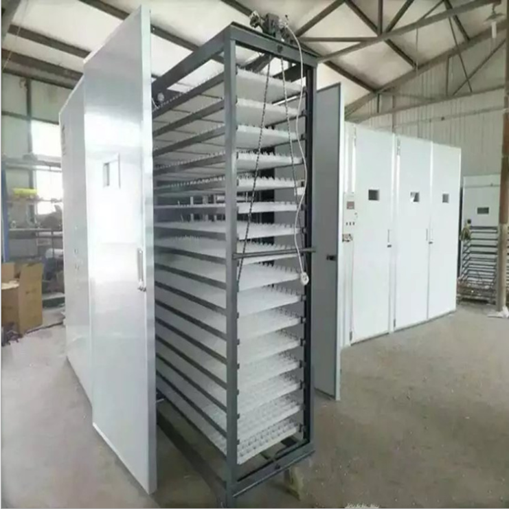 High hatching rate Used 10000 Chicken Egg For Sale Snail Farming Incubator for sale