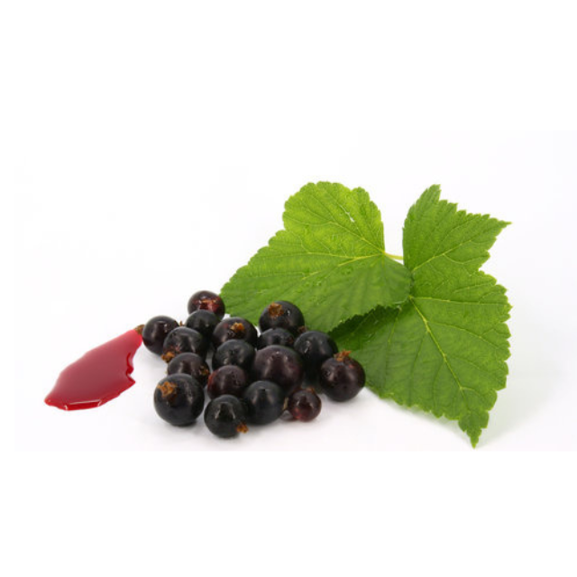 Buy  Black Currant Fragrance oil at  Wholesale price  from india largest manufacture kanha nature oils