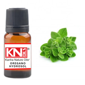 Buy OREGANO HYDROSOL at Wholesale price  from india largest and reputed manufacture kanha nature oils