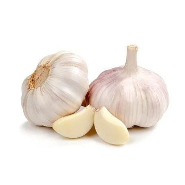 Buy Bulk GARLIC ESSENTIAL OIL Best In Quality Available For Whole Sale Price from indian popular manufacturer