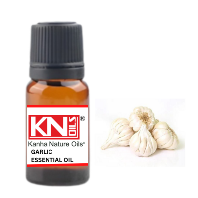 Buy Bulk GARLIC ESSENTIAL OIL Best In Quality Available For Whole Sale Price from indian popular manufacturer