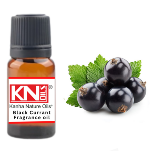 Buy  Black Currant Fragrance oil at  Wholesale price  from india largest manufacture kanha nature oils