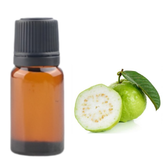 Buy Bulk Guava diffuser oil Wholesale price  from india largest manufacture kanha nature oils