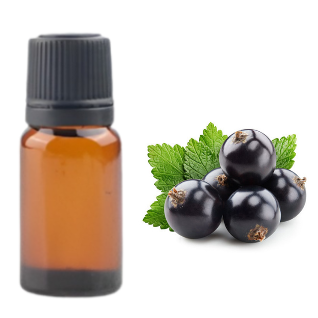 Buy  Black Currant Fragrance oil at  Wholesale price  from india largest manufacture kanha nature oils