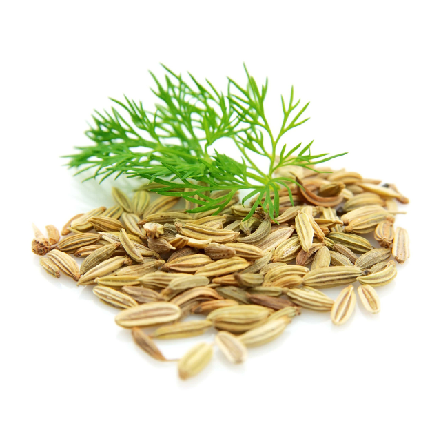 Buy Bulk Wholesale price FENNEL SWEET ESSENTIAL OIL from india largest manufacture kanha nature oils