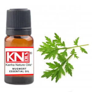 Buy Bulk Wholesale price MUGWORT ESSENTIAL OIL from india largest manufacture kanha nature oils