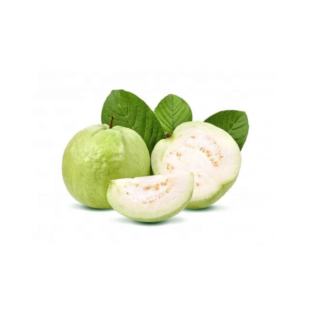 Buy Guava Fragrance oil at  Wholesale price  from india largest manufacture kanha nature oils