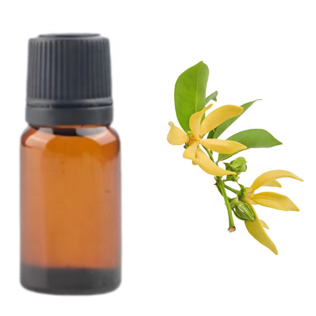 Buy Champaca Fragrance oil at  Wholesale price  from india largest manufacture kanha nature oils