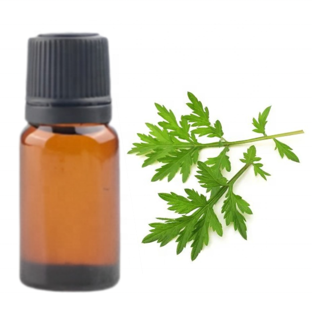 Buy Bulk Wholesale price MUGWORT ESSENTIAL OIL from india largest manufacture kanha nature oils