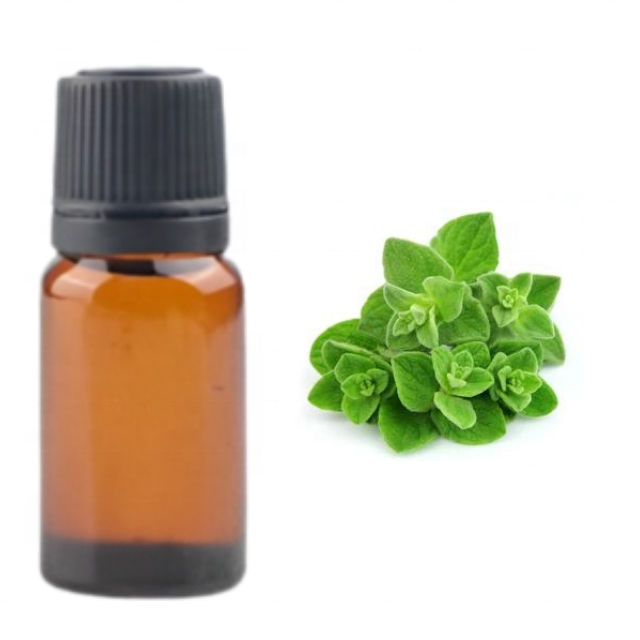 Buy OREGANO HYDROSOL at Wholesale price  from india largest and reputed manufacture kanha nature oils