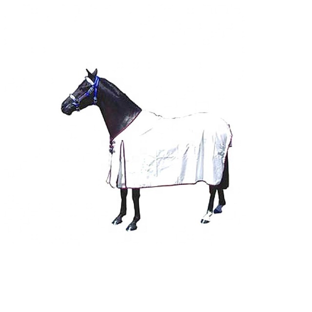 Horse Multi Color  Fly Sheet Suppliers