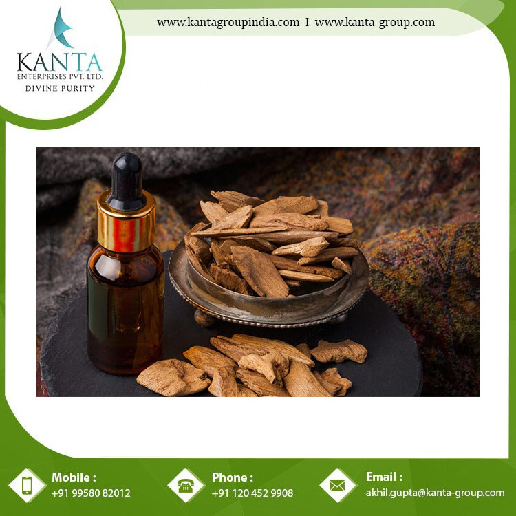 Wholesale price essential oil agarwood essential oil from India