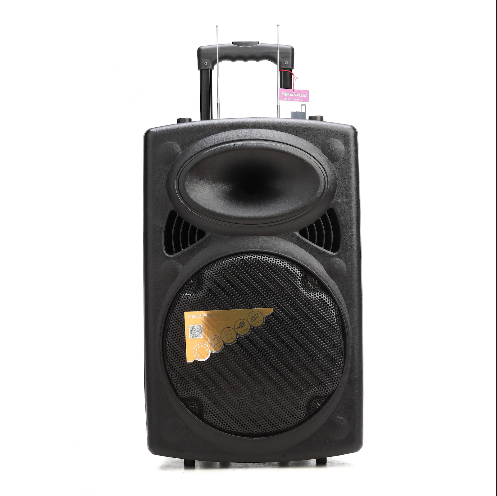 10 Inches High Quality Karaoke Portable Multifunction Trolley Speaker With Wireless Microphone*2