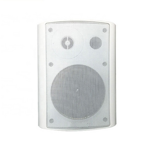 Audio High End Professional On Wall Mount Speaker