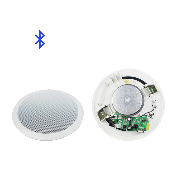 Anti-Noise Sound Masking Speakers 10W 6inch PA Ceiling Speaker for Paging Music Signals, Public Address System