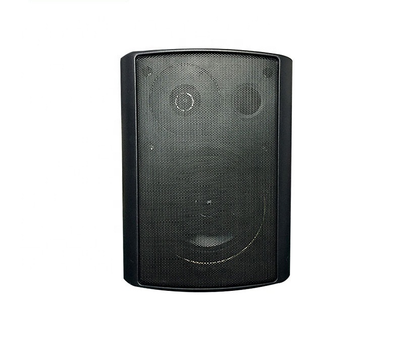 Audio High End Professional On Wall Mount Speaker