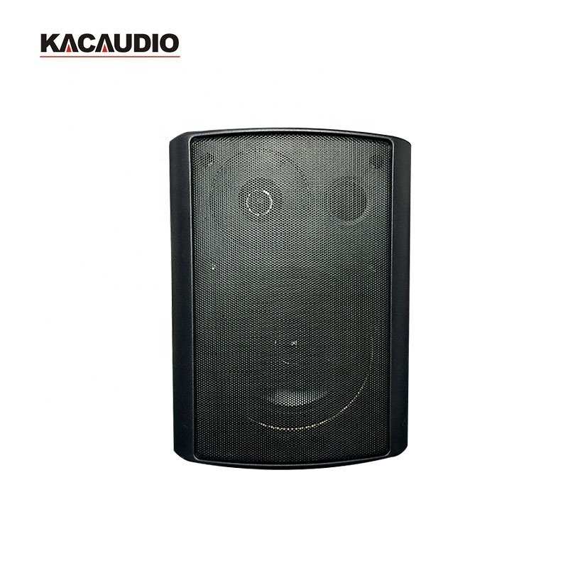 Audio High End Professional On Wall Mount Speaker