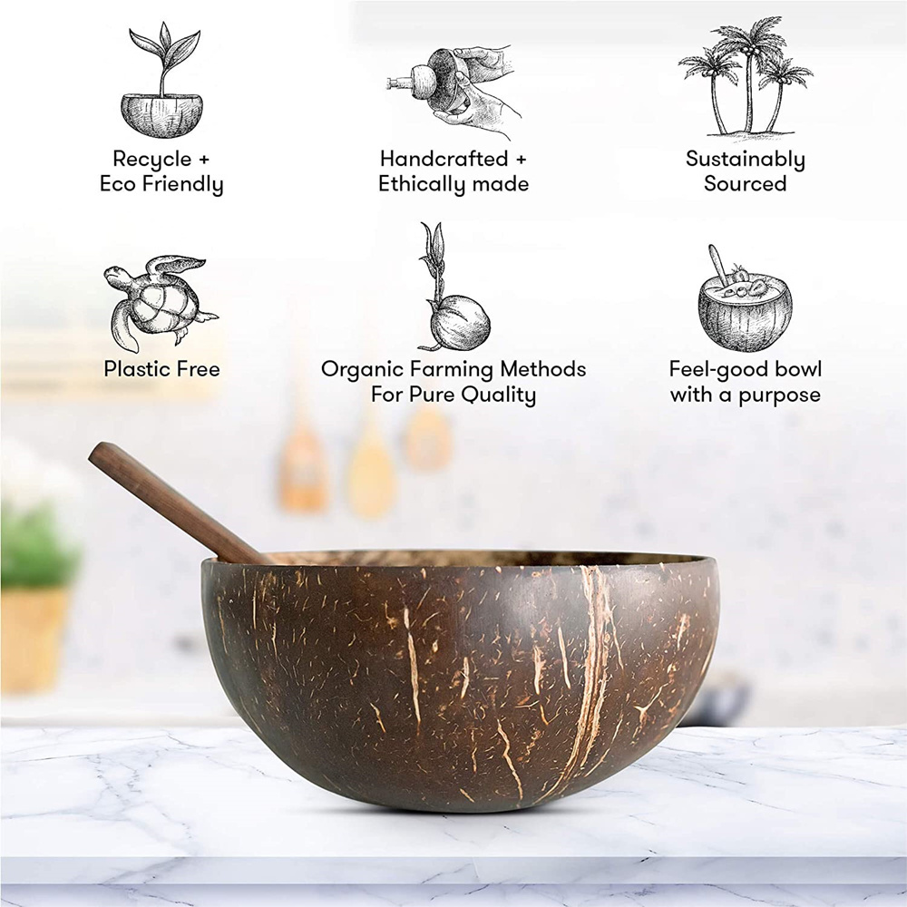 vietnam natural coconut bowl set,eco coconut bowl shell,coconut shell bowl and spoon set