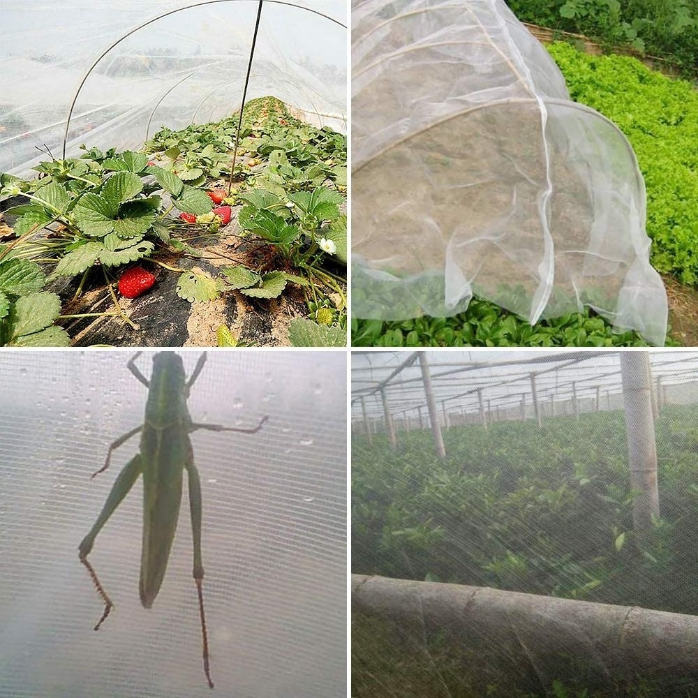 Agriculture Greenhouse 100% HDPE  Anti Insect Net Garden Farming Insect Proof Mesh Netting for Vegetable Fruit plant  Protection