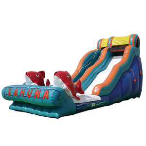 New big Kahuna Small Indoor Inflatable Water Slide with pool for Home or rental use inflatable jumper water slide