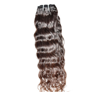 Wholesale Raw cuticle 100% Virgin Cambodian Curly wigs for black women genius weft braiding Human Hair