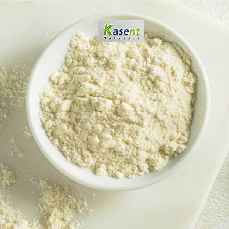 Wholesale Whey Protein Isolate 20kg 50 kg Whey Protein Isolate