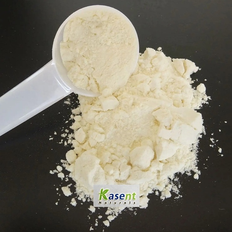 Wholesale Whey Protein Isolate 20kg 50 kg Whey Protein Isolate