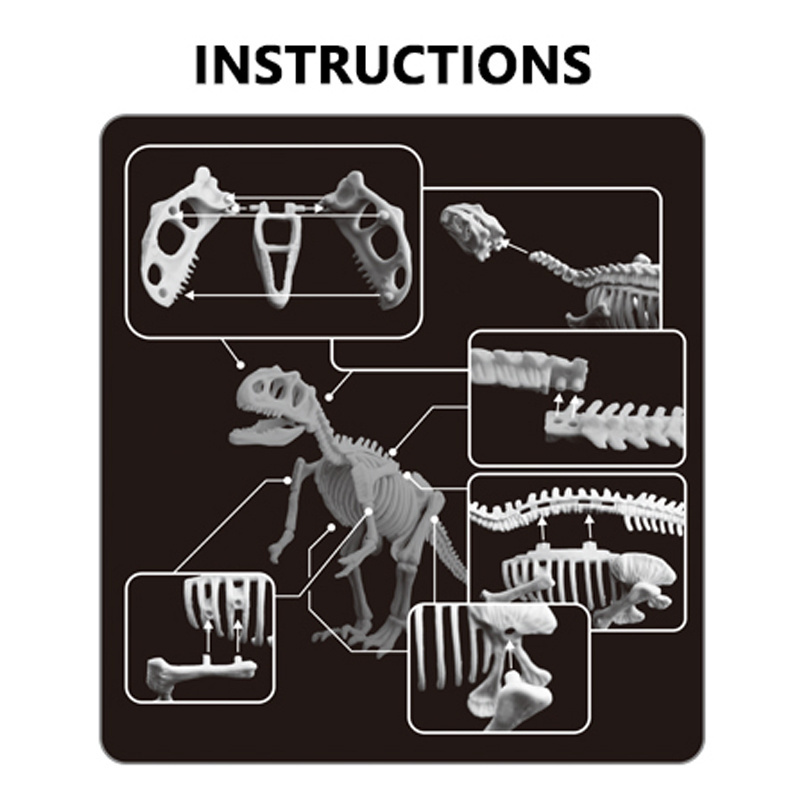 Kids educational assembly 3D dinosaur fossil skeleton archaeology excavation dinosaur egg DIY toy