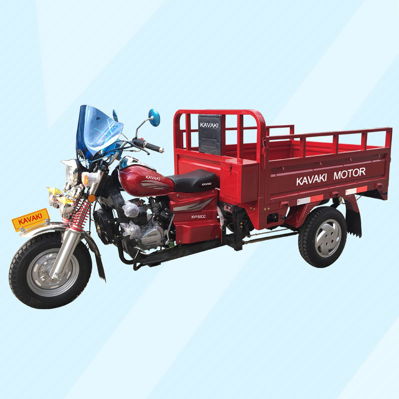 Cheap Mini Motorcycle Trucks/Motorized Drift Trike for Sale/3 Wheel Adult Electric Tricycle for Sale