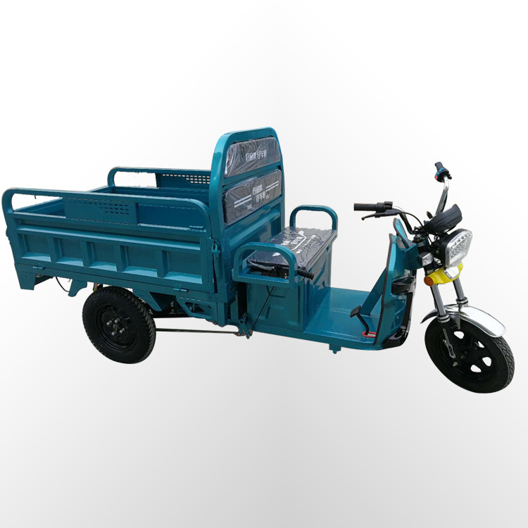 tricycle food cart trike bike 2 passenger 3 wheel electric scooter