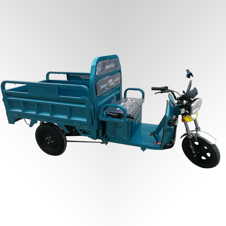 tricycle food cart trike bike 2 passenger 3 wheel electric scooter