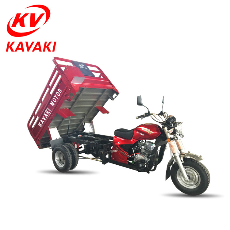 China newest 5 wheel motorcycle/Africa hot selling double-wheel cargo tricycle