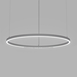 Medium Profile 800mm Diameter Led Linear Circular Light Dimmable Ring Lighting Fixtures Indoor Grey Aluminium Acrylic Luminaire