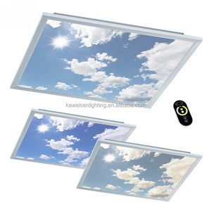 Custom artificial 3D vision skylight led blue sky ceiling led light panel 60x60cm 595x595mm dimmable ultra-thin LED panel lights