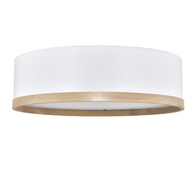 LED Flush Mount Ceiling Light Round Ceiling Lamp for Indoor Home Hotel Lighting