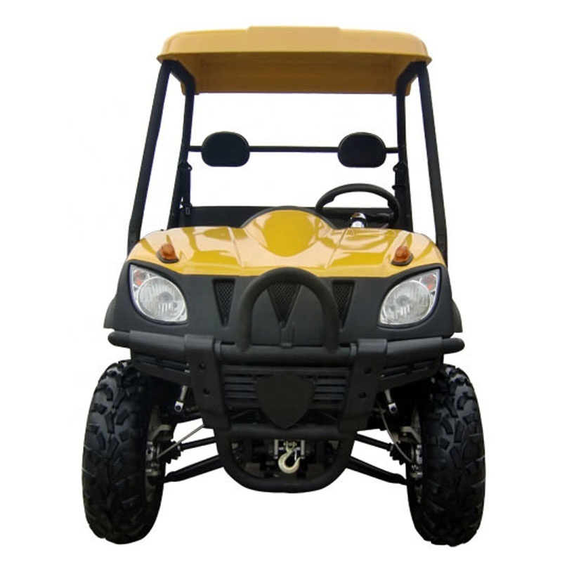 High Quality 5KW Electric UTV 4x4 Adult with 2 seater