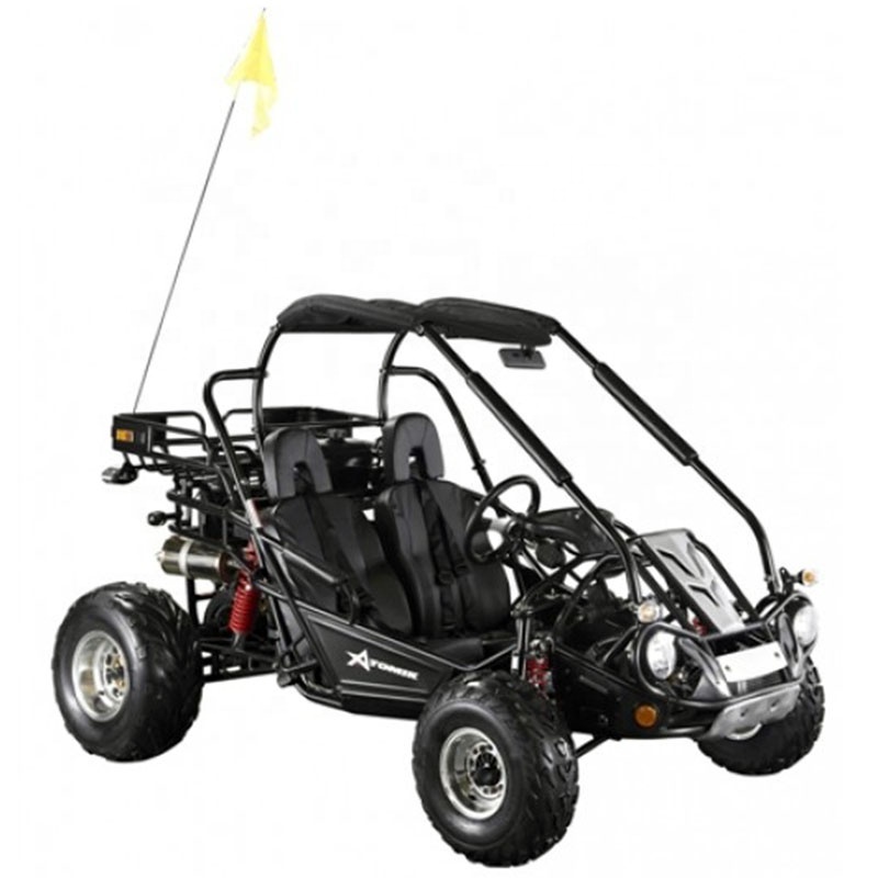 China Dune Buggy 300cc PGO Buggy