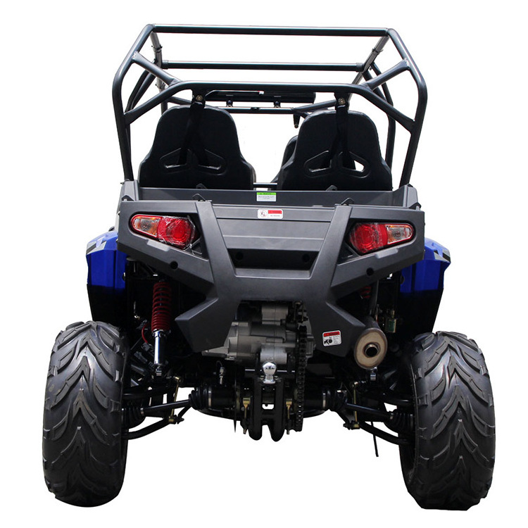 Youth Street Legal Side By Side Utv With Good Quality