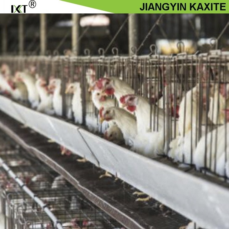 PP manure conveyor belt for chicken cage manure removal system battery cages chickens animal cages