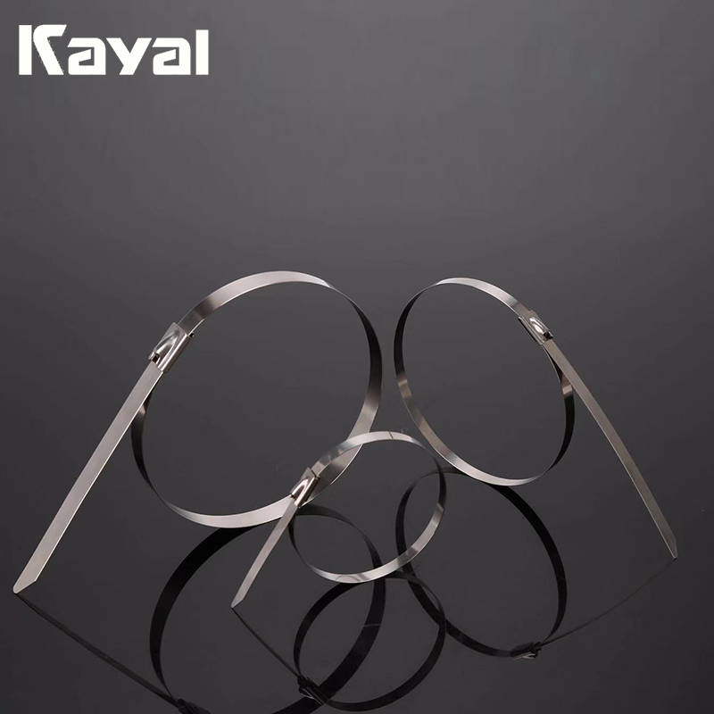 KAYAL eva coated stainless steel double loop cable tie made in China